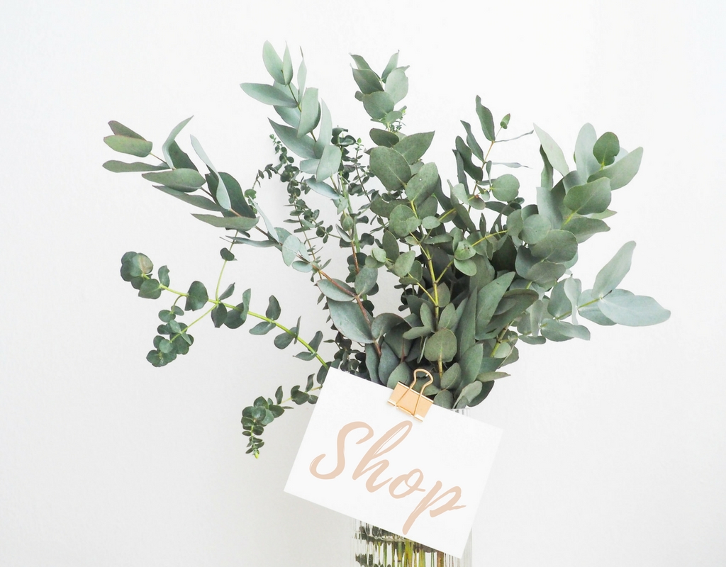 Image to support shop website, branding, social media starter kits